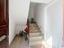 Immagine 18