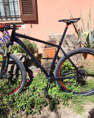 MTB 29 SPECIALIZED Taglia XL 