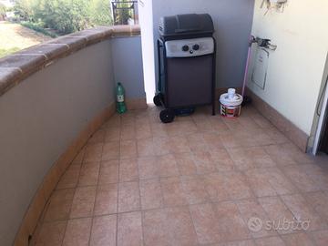 Arredato con mobili moderni