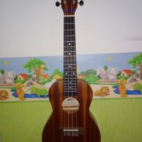 ukulele marca Sonata