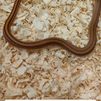 Serpente del grano