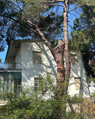 Casa Indipendente Faenza [Cod. rif 3307929VRG]