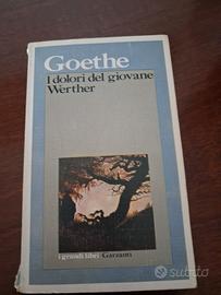 i dolori del giovane Werther