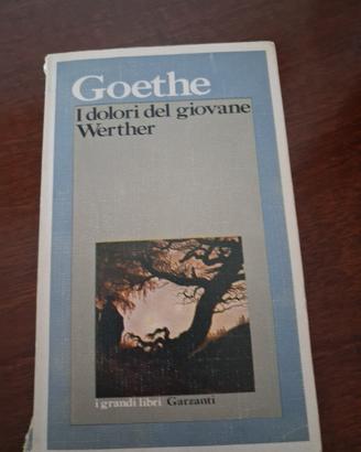 i dolori del giovane Werther