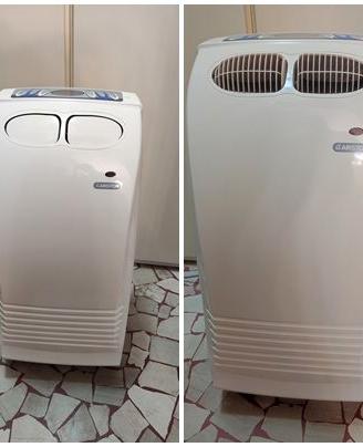 Pinguino-Condizionatore+deumidificatore portatile