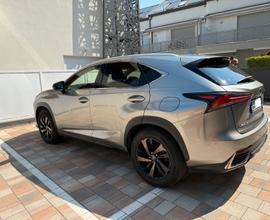 LEXUS NX 2ª serie - 2021