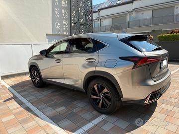 LEXUS NX 2ª serie - 2021
