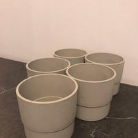 Vasi sempre tenuti in casa