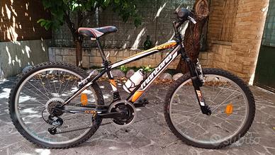 Mountain Bike Montana Escape 24" con sganci rapidi