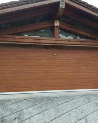 Portone garage automatico