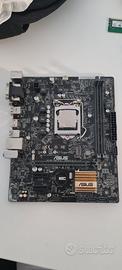 Componenti PC H110M-A/M.2, i5-7400, 8 GB RAM + DVD