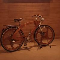 Bicicletta Tino Sana