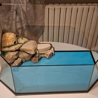 Tartarughiera Blu Bios - Exagon 61