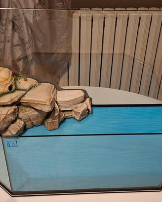 Tartarughiera Blu Bios - Exagon 61