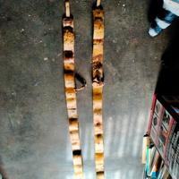 pelle di foca per sci