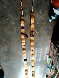 pelle di foca per sci