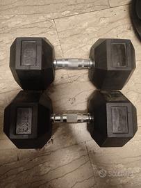 2 Manubri da 25 kg ciascuno