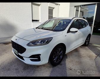FORD Kuga 1.5 EcoBlue 120 CV 2WD ST-Line
