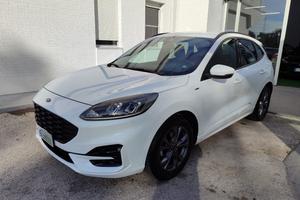 FORD Kuga 1.5 EcoBlue 120 CV 2WD ST-Line