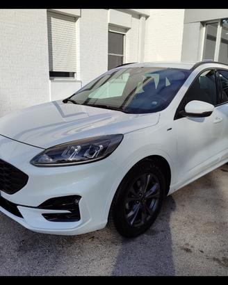 FORD Kuga 1.5 EcoBlue 120 CV 2WD ST-Line
