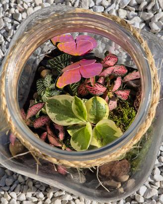 terrarium