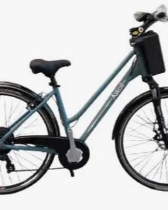 Biciclette pedalata assistita