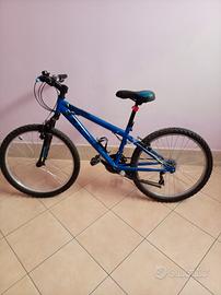 bici passo 24