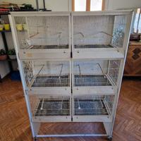 Gabbia a batteria uccelli