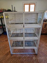 Gabbia a batteria uccelli