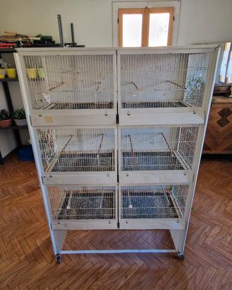 Gabbia a batteria uccelli