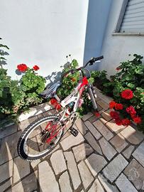 bicicletta  bimbo 20'