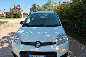 Fiat Panda 319  Anno 2021 1.0 benzina hybrid