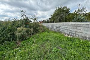 Terreno - Mascalucia