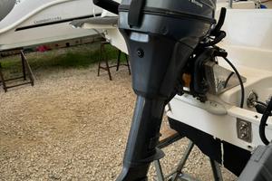 Motore Yamaha 8cv 4t