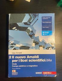2 il nuovo amaldi per i licei scientifici