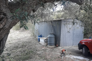 Terreno uliveto zona Fuondi Agropoli