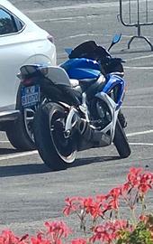suzuki gsx r 600 k7