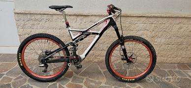 Specialized Enduro S Works