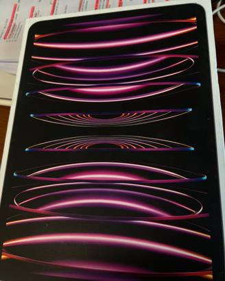 IPAD Pro 11 (4th generation)