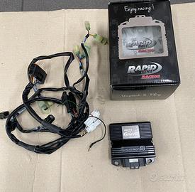 Kit centralina Rapid Bike per Triumph