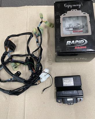 Kit centralina Rapid Bike per Triumph