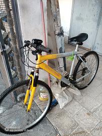 bicicletta 