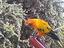 Immagine 6