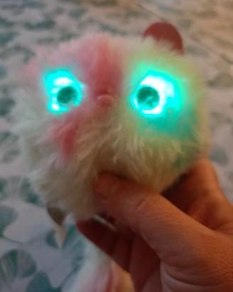 Gattino che illumina e canta