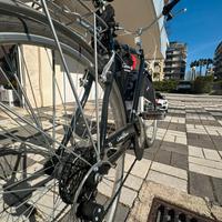 Bici uomo da città