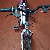 bicicletta