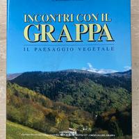 INCONTRI CON IL GRAPPA-IL PAESAGGIO VEGETALE- 1994
