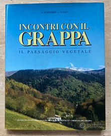 INCONTRI CON IL GRAPPA-IL PAESAGGIO VEGETALE- 1994