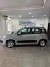 fiat-panda-1-0-firefly-s-s-hybrid-per-neopatentati