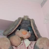 Peluche Coniglio Gigante